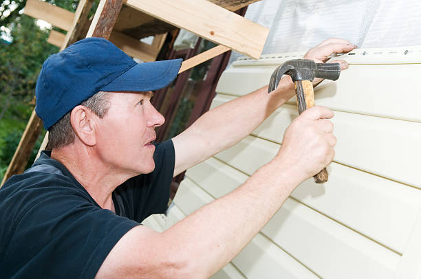 Best Siding Removal and Disposal  in Temperance, MI